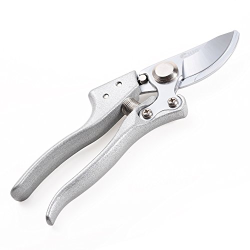 Секатор YINGDA TOOLS с хромовой ручкой на блистере BH-168-Y (72шт)